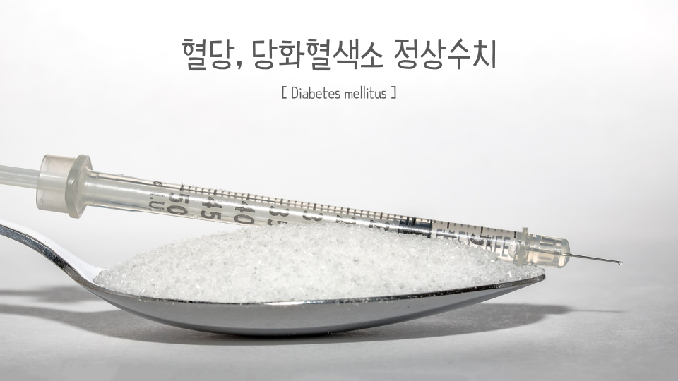 당뇨식 1: 혈당, 당화혈색소 정상 수치