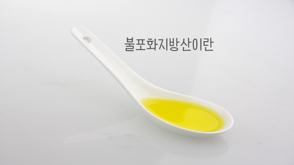 포화지방산과 불포화지방산: 고기는 안먹을 건가요?