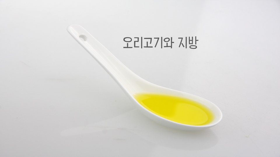 저지방 고단백 식품 오리고기, 불포화지방산에 대한 진실