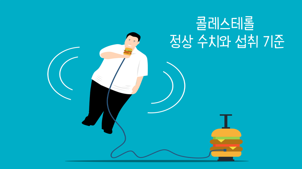 콜레스테롤 정상수치 썸네일