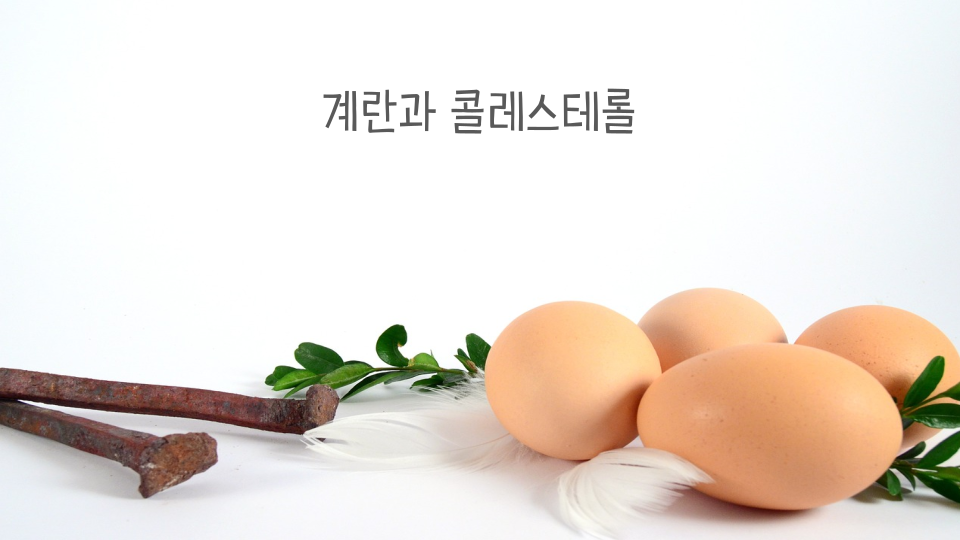 계란은 하루에 몇 개 먹어야 할까요? 콜레스테롤 많은 식품