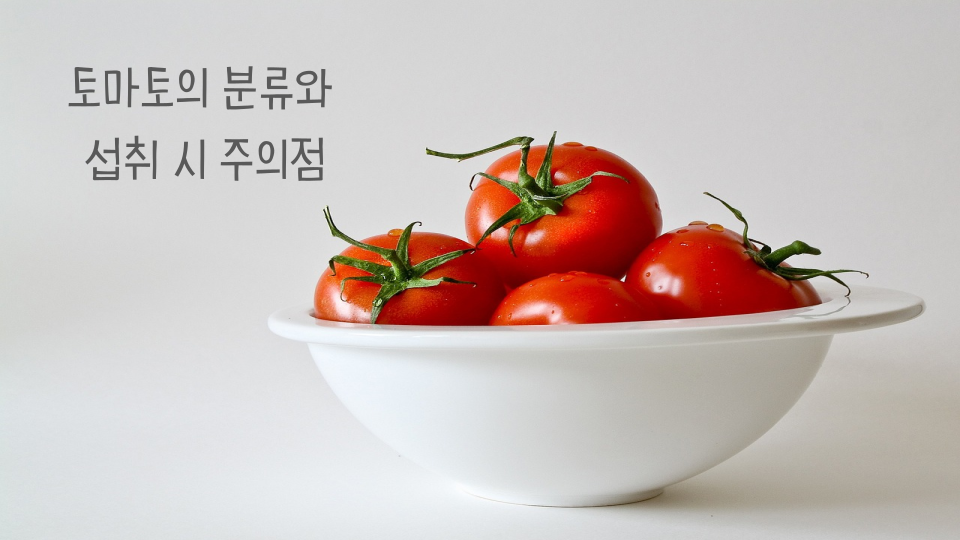 토마토 분류 썸네일