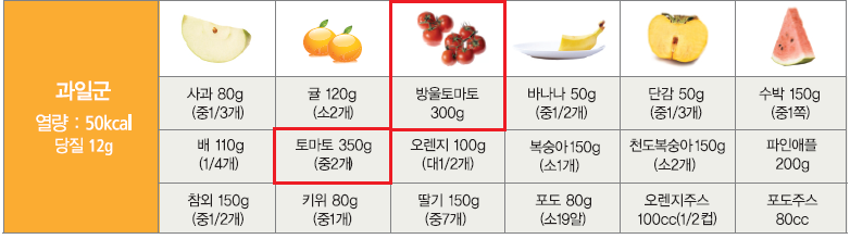 식품교환표 과일군