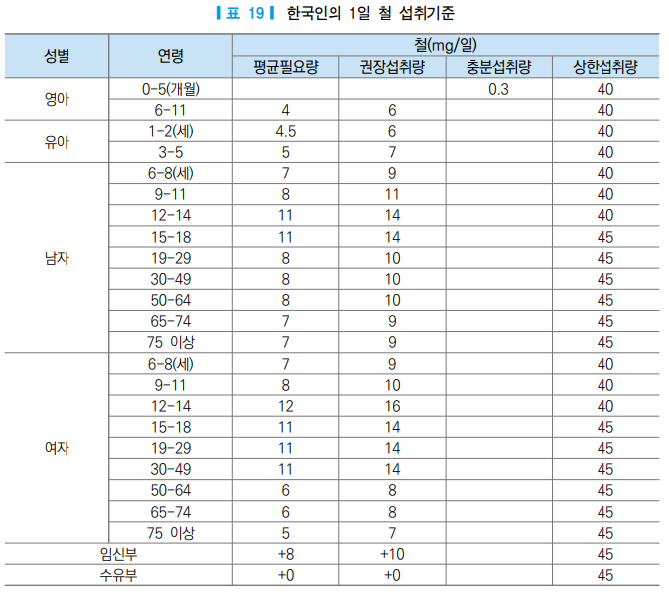 철분 섭취 기준