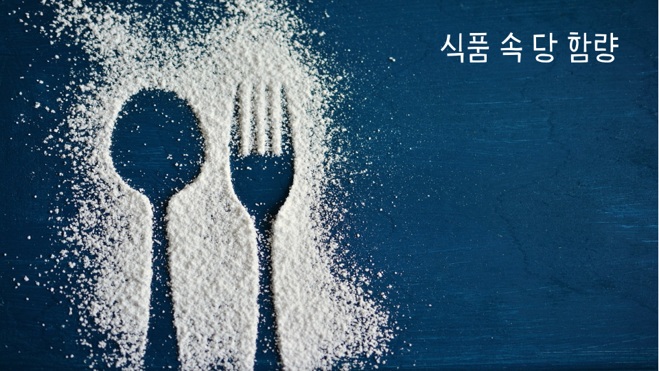 하루 적정 당 섭취량 및 식품 속 당 함량