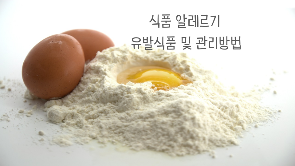 식품 알레르기 썸네일