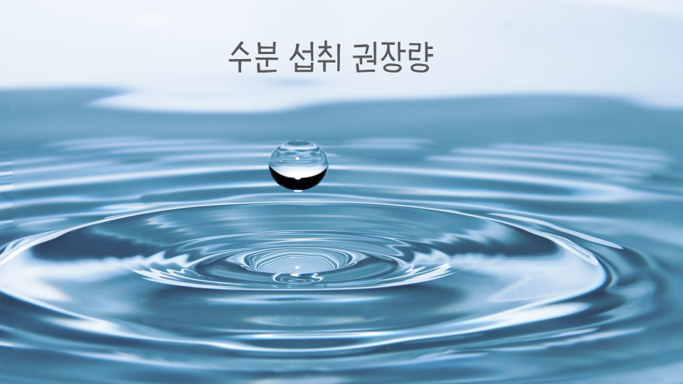 수분 섭취 권장량 썸네일