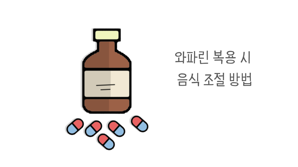 와파린 복용 시 음식 조절 방법 썸네일