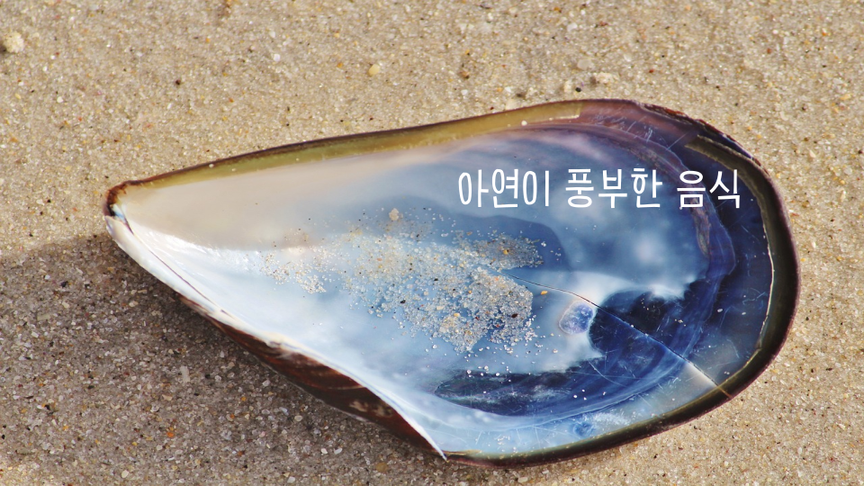 아연의 효능 및 아연 많은 음식