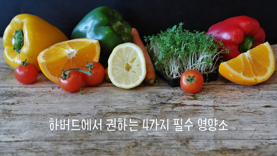 하버드에서 권하는 4가지 필수 영양소: 칼슘, 칼륨, 식이섬유, 비타민D