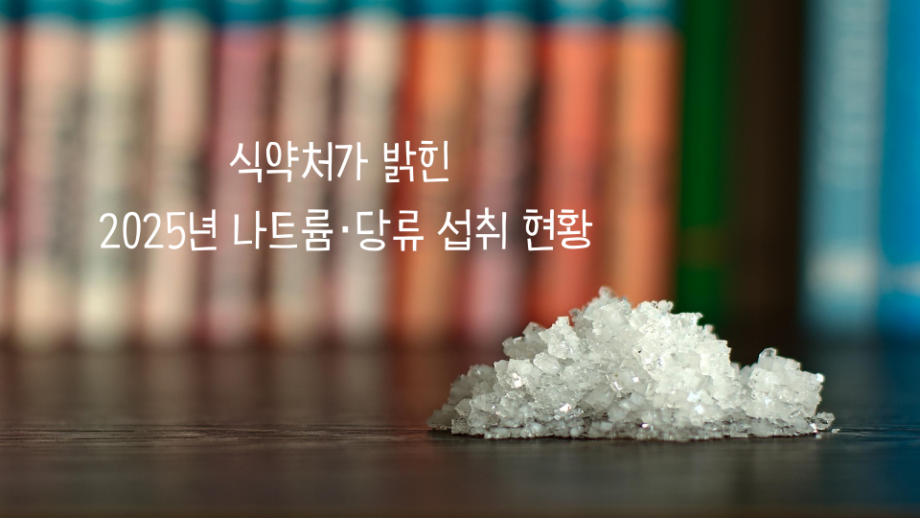 식약처 보고서 썸네일