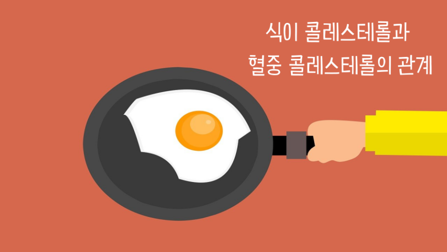 콜레스테롤 썸네일