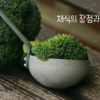 채식의 장점과 단점 썸네일
