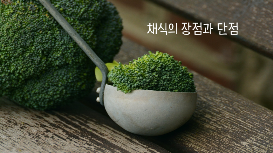 채식의 장점과 단점 썸네일