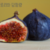 무화과 썸네일