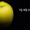 9월 제철 과일 썸네일