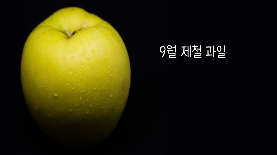 9월 제철 과일 썸네일