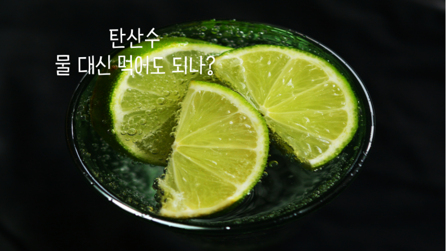 탄산수를 물 대신 마셔도 될까? 매일 마시면 생기는 변화와 부작용 탄산수 썸네일