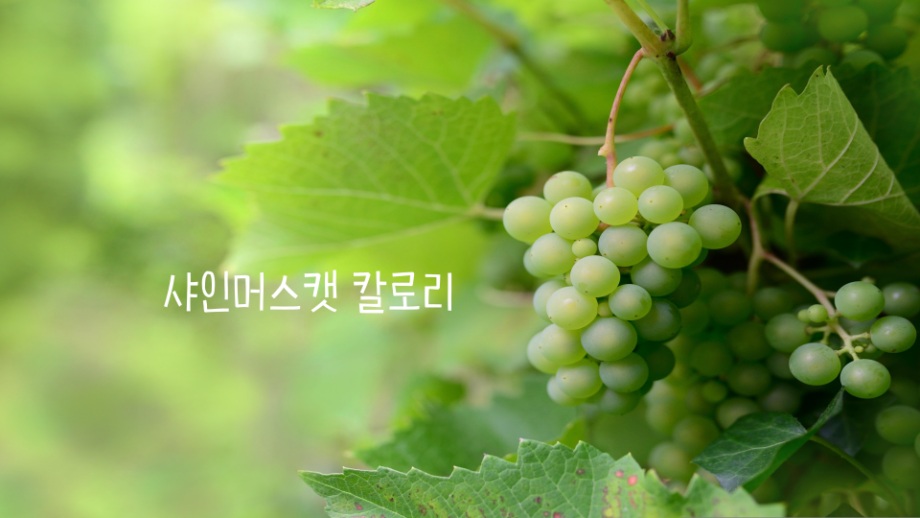 샤인머스캣 칼로리