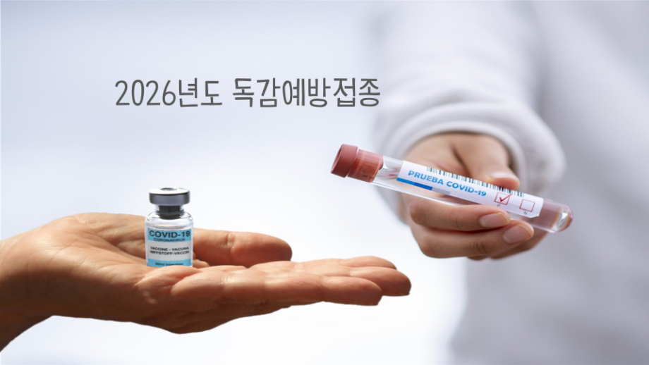 2026 독감 예방접종 시기|언제 맞아야 가장 효과적일까? 무료접종 대상까지 독감 예방접종 썸네일
